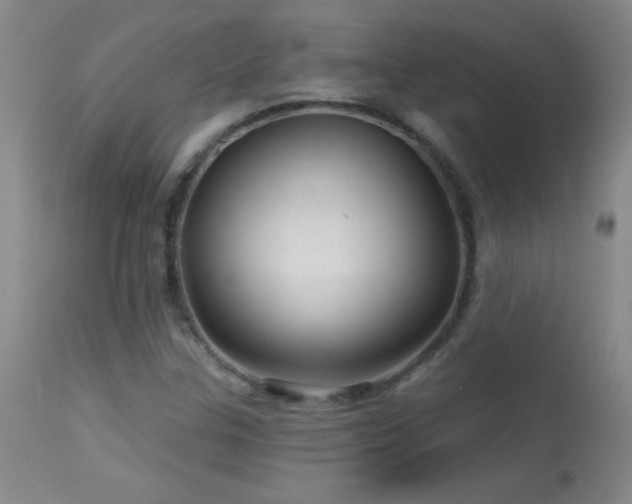 X0000114211307200910091314