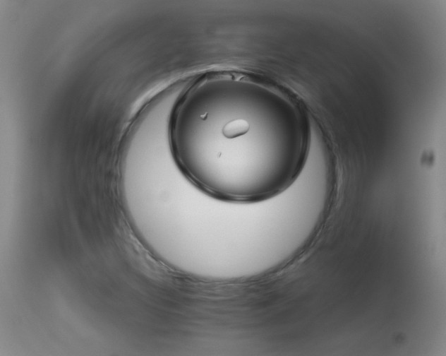 X0000114211308200910091314