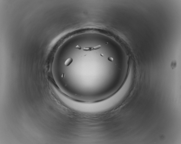 X0000114211310200910091314