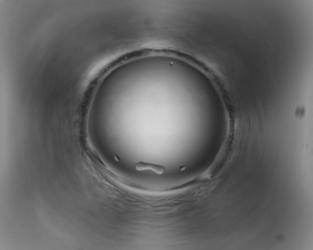 X0000114211311200910091314