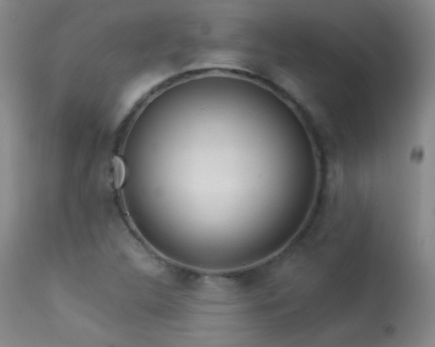 X0000114211312200910091314