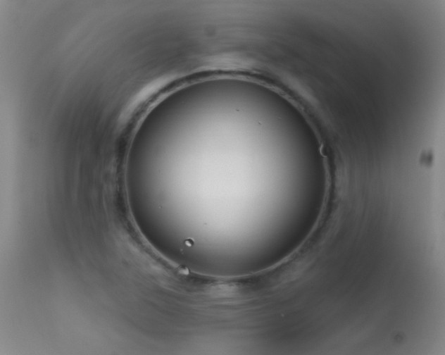 X0000114211315200910091315