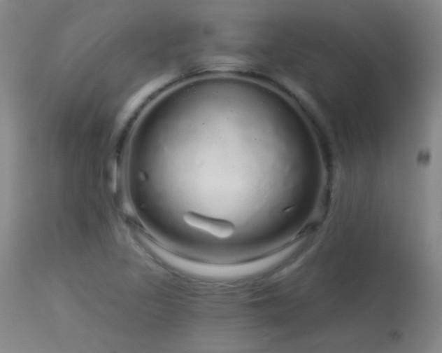 X0000114211317200910091315