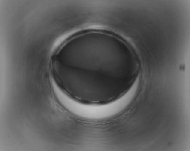 X0000114211319200910091315