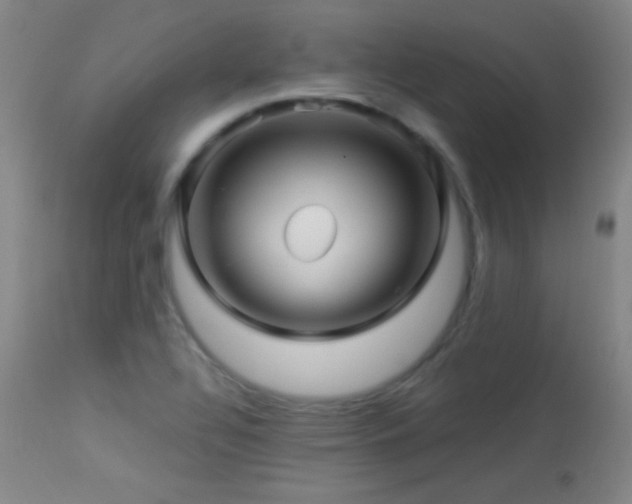 X0000114211320200910091315