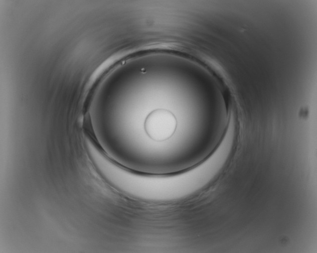 X0000114211324200910091315
