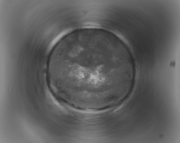 X0000114211325200910091315