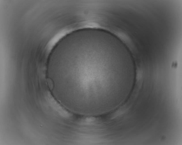 X0000114211326200910091315
