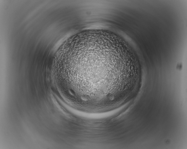 X0000114211329200910091315