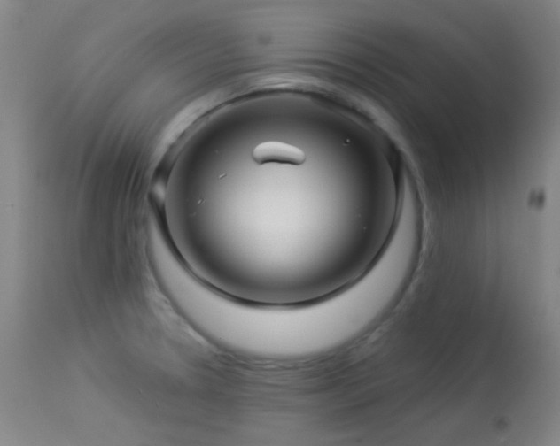 X0000114211330200910091315