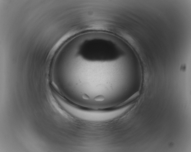 X0000114211331200910091315
