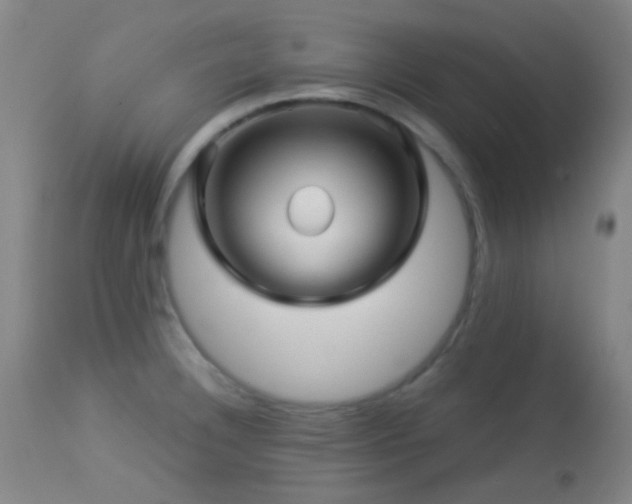 X0000114211332200910091315