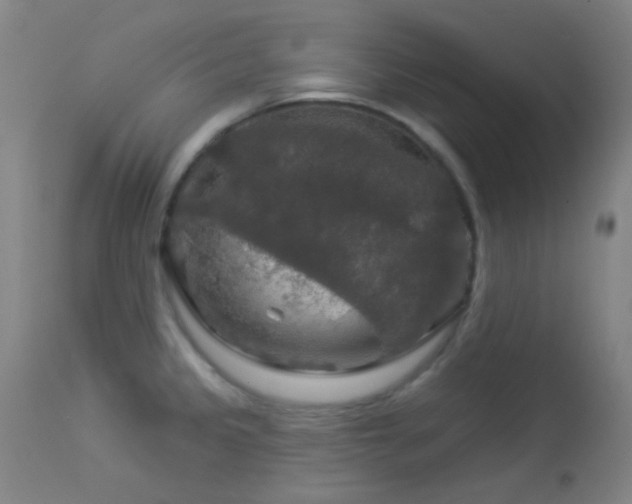 X0000114211333200910091315