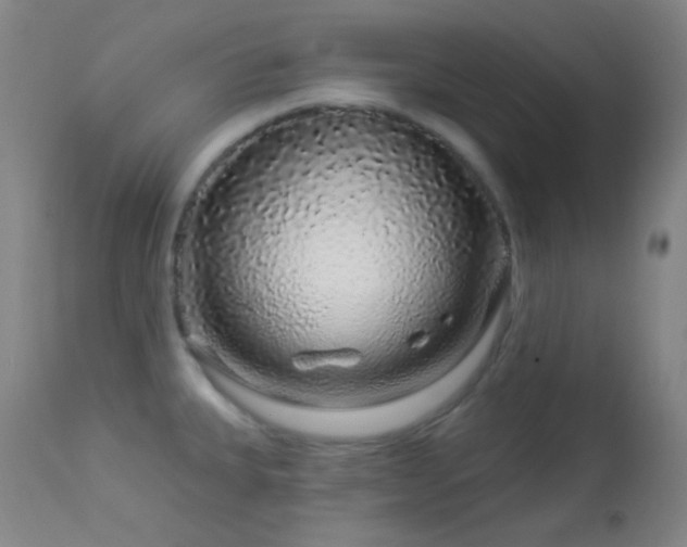 X0000114211335200910091315