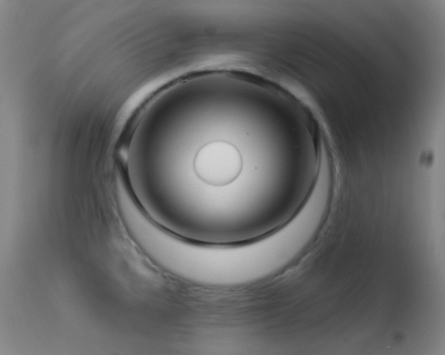 X0000114211336200910091315