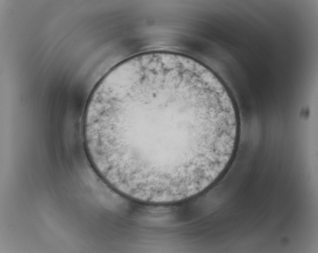 X0000114211338200910091315