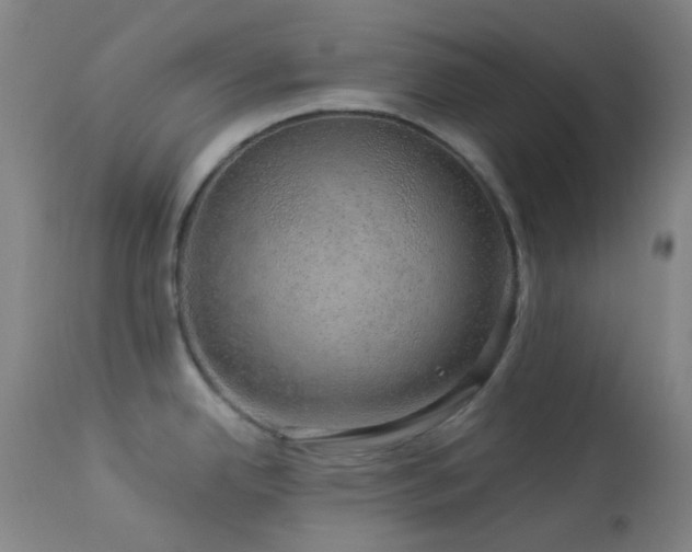 X0000114211342200910091315
