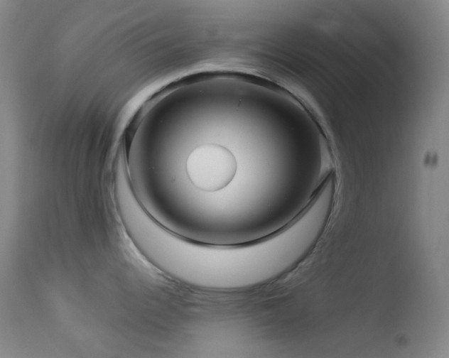 X0000114211344200910091315