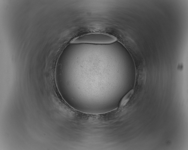 X0000114211345200910091314