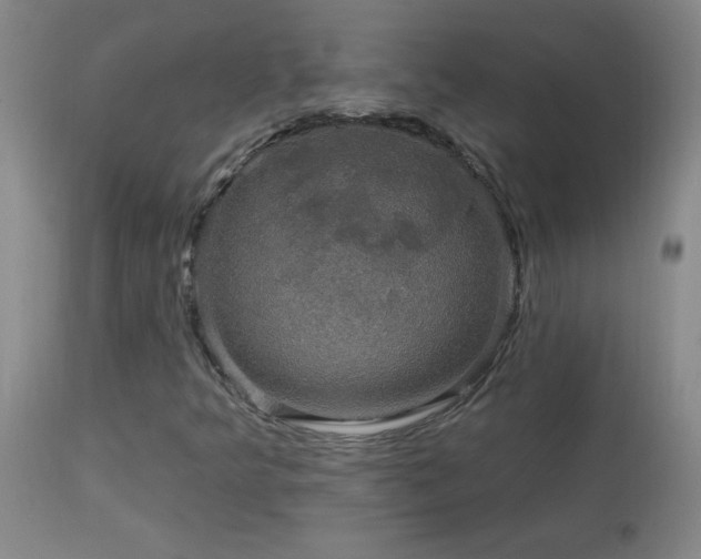 X0000114211349200910091314