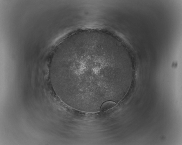 X0000114211350200910091314