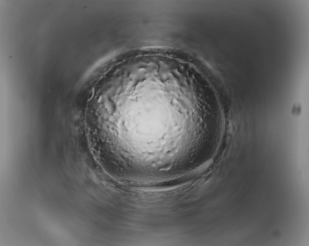 X0000114211351200910091314