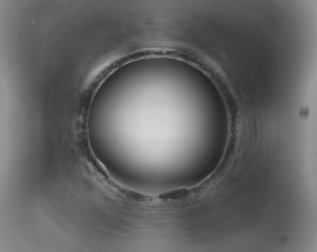 X0000114211352200910091314