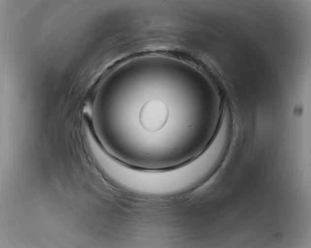 X0000114211353200910091314
