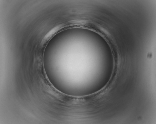 X0000114211354200910091314