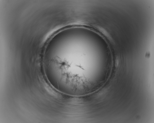 X0000114211356200910091314