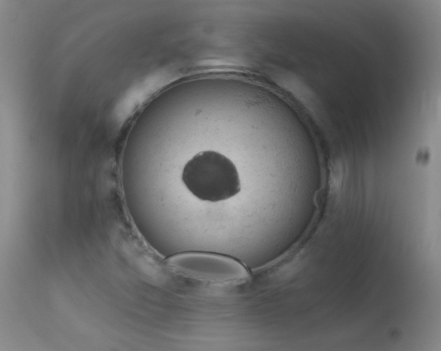 X0000114211357200910091314