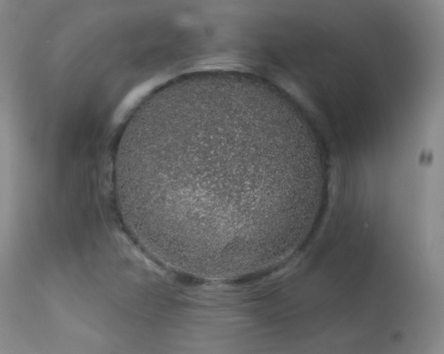X0000114211358200910091314