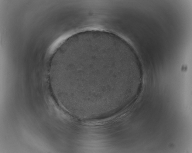 X0000114211359200910091314