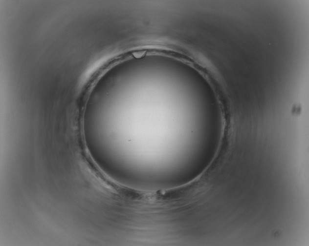 X0000114211360200910091314