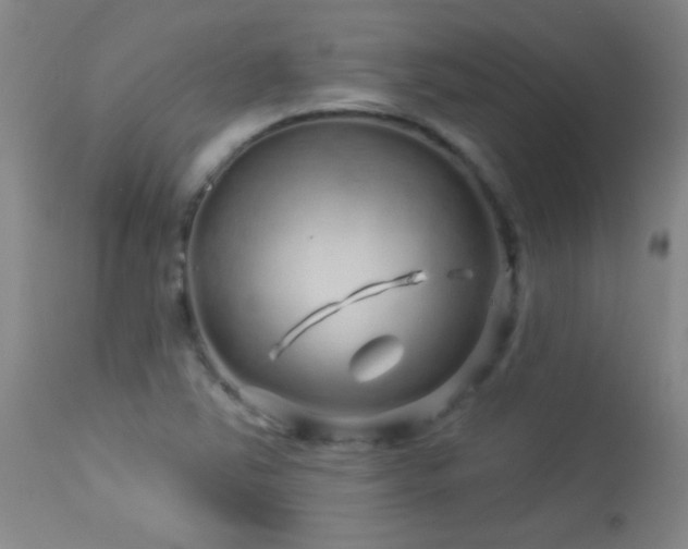 X0000114211363200910091314