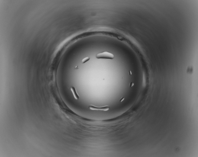 X0000114211364200910091314