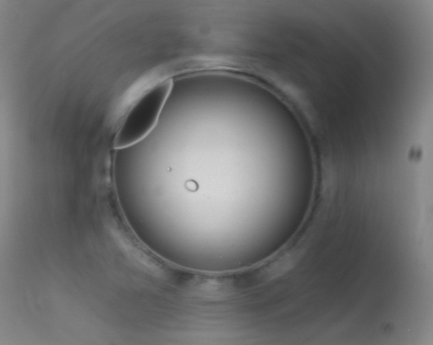 X0000114211365200910091314