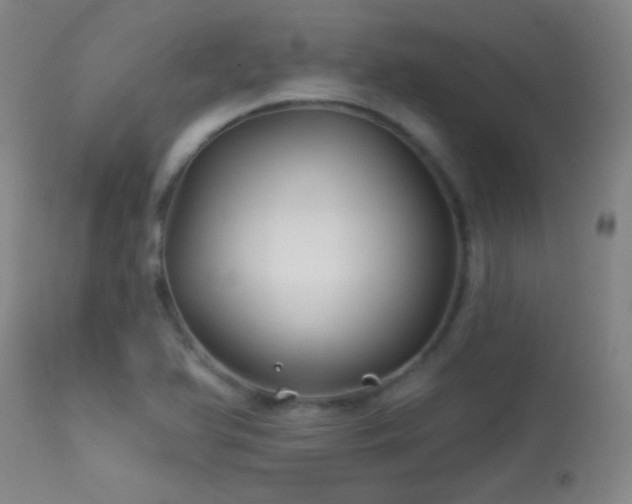 X0000114211366200910091314
