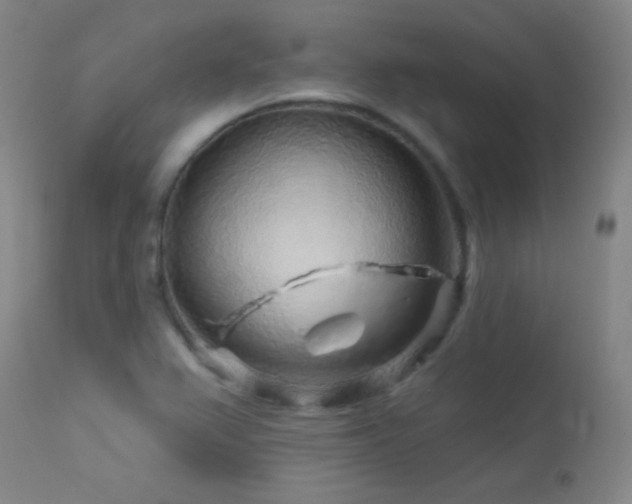 X0000114211367200910091314