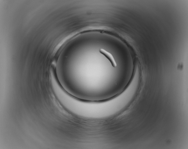 X0000114211369200910091314