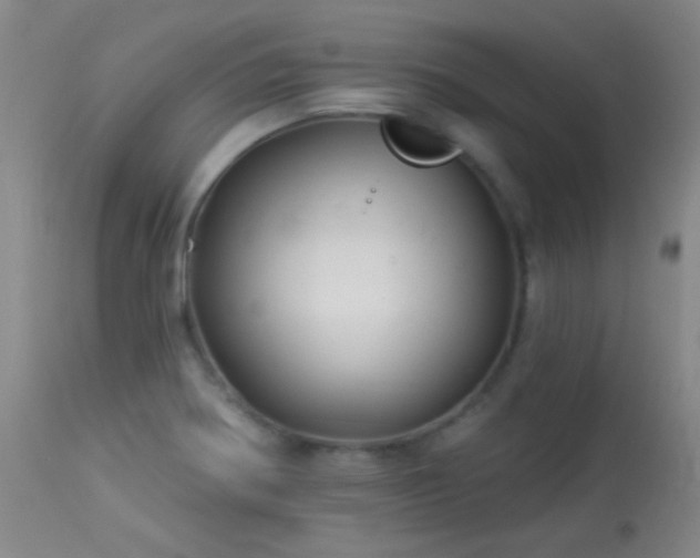 X0000114211370200910091314