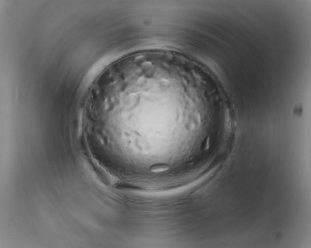 X0000114211371200910091314