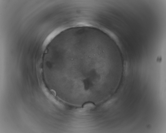 X0000114211373200910091314
