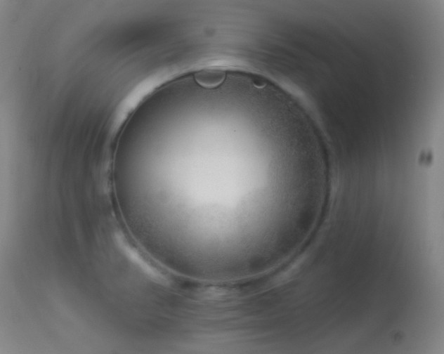 X0000114211374200910091314