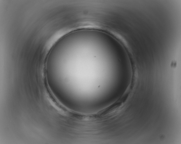 X0000114211375200910091314