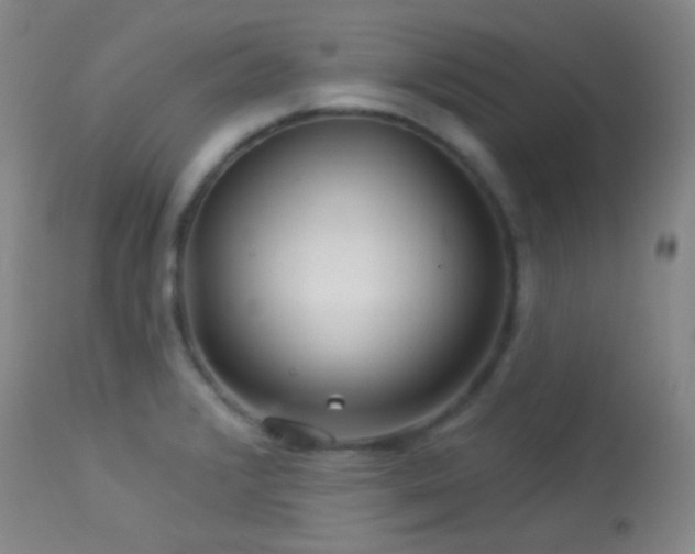X0000114211376200910091314
