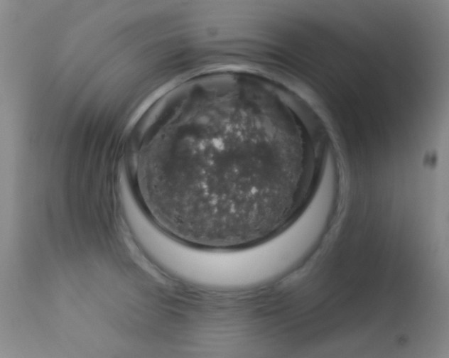 X0000114211377200910091314