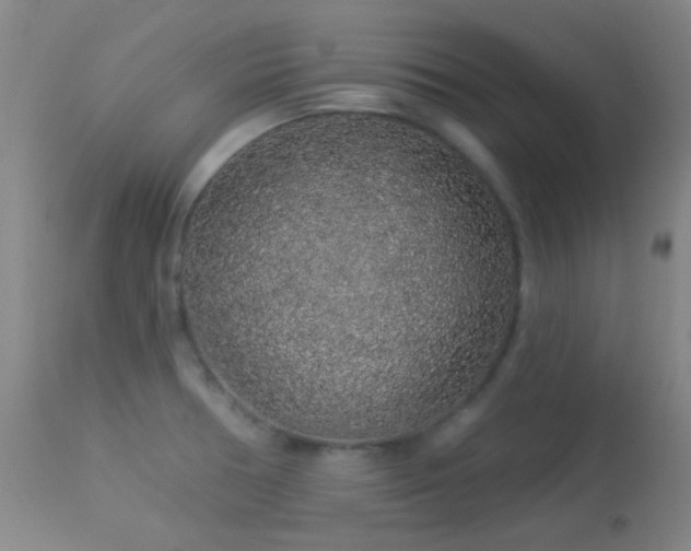 X0000114211378200910091314