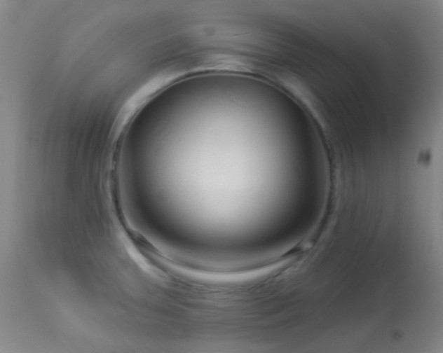 X0000114211379200910091314