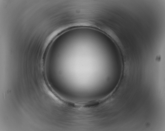 X0000114211380200910091314